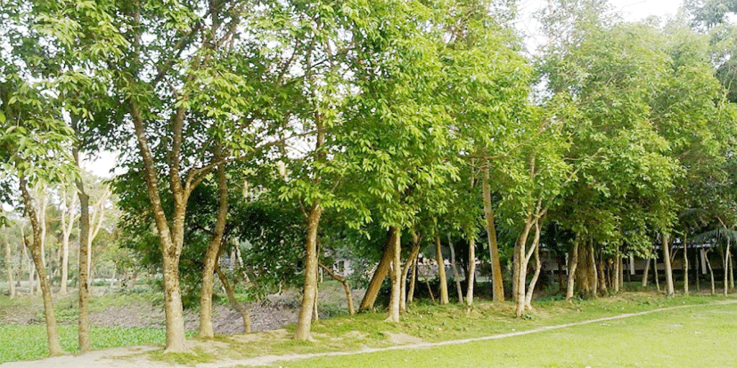 images/slider/1762496521.png